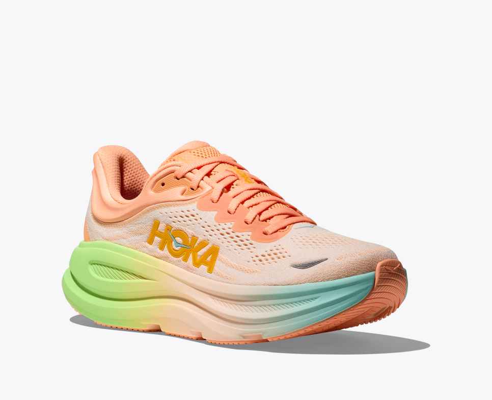 Bondi 9