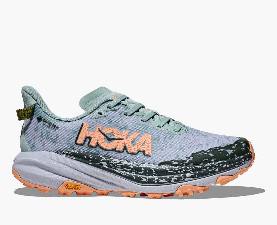 Speedgoat 6 GORE-TEX