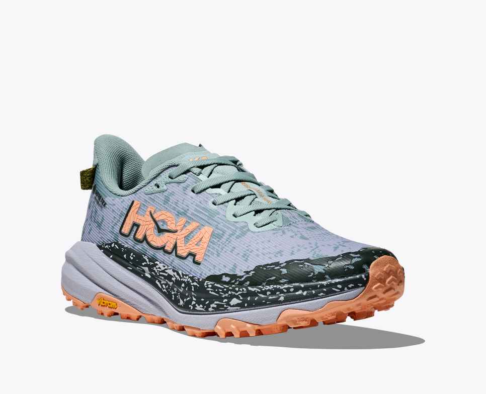 Speedgoat 6 GORE-TEX